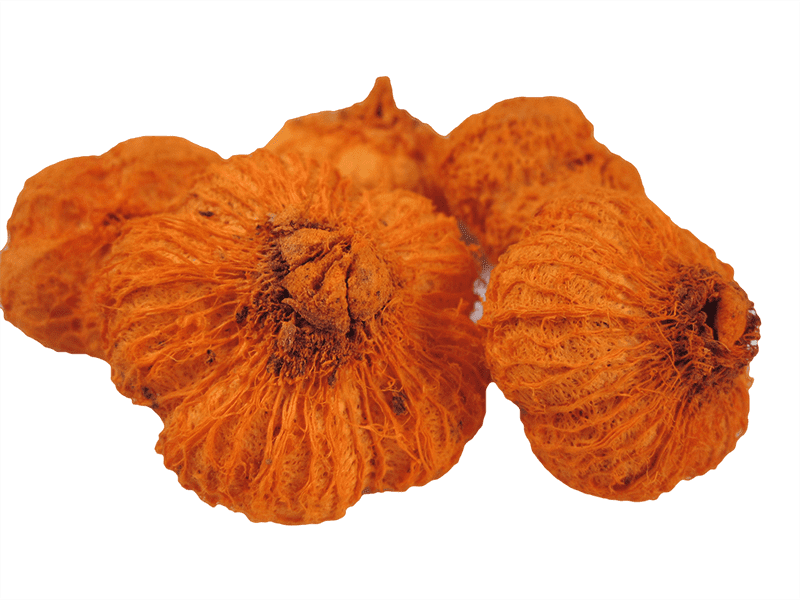Paras Peepal, Naturdeko, orange, 30g-Beutel DIY Basteln Floristik Naturprodukte