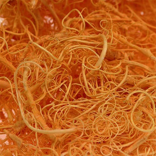 Curly Moos, Naturdeko, orange, 30g-Beutel DIY Basteln Floristik Naturprodukte