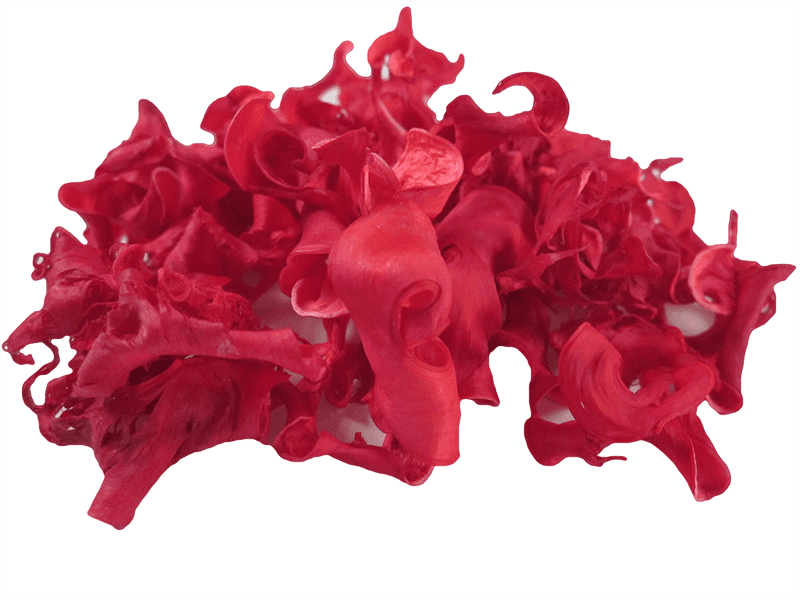 Curly Pod, Naturdeko, rot, 10g-Beutel DIY Basteln Floristik Naturprodukte