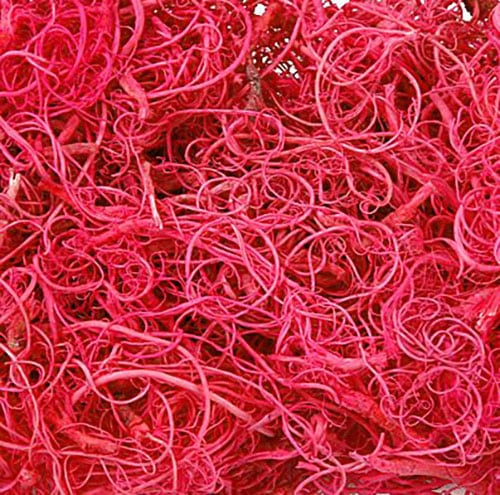 Curly Moos, Naturdeko, rot, 30g-Beutel DIY Basteln Floristik Naturprodukte