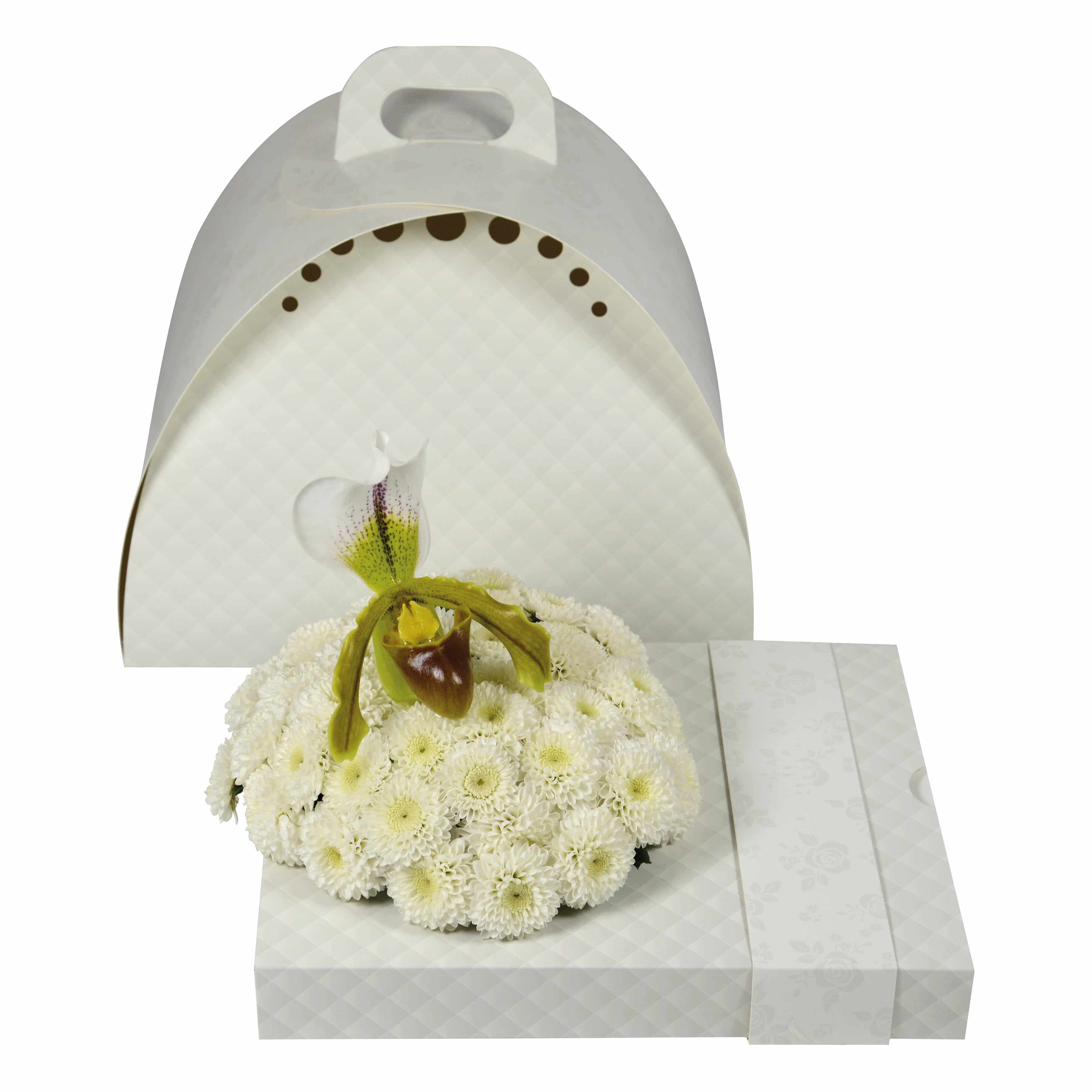 OASIS® floxi Geschenkverpackung unifarben weiß Steckmasse Steckschaum Blumensteckschaum