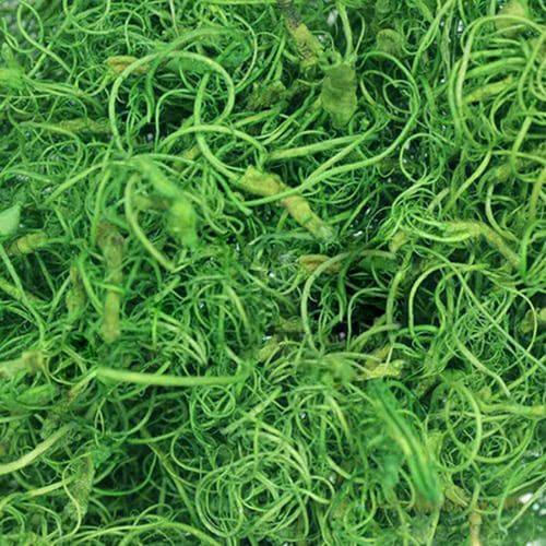 Curly Moos, Naturdeko, hellgrün, 30g-Beutel DIY Basteln Floristik Naturprodukte