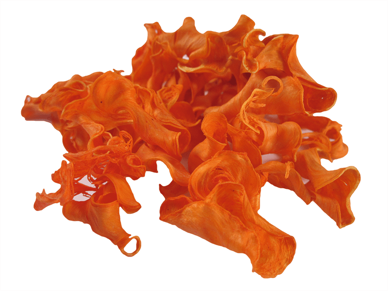 Curly Pod, Naturdeko, orange, 10g-Beutel DIY Basteln Floristik Naturprodukte